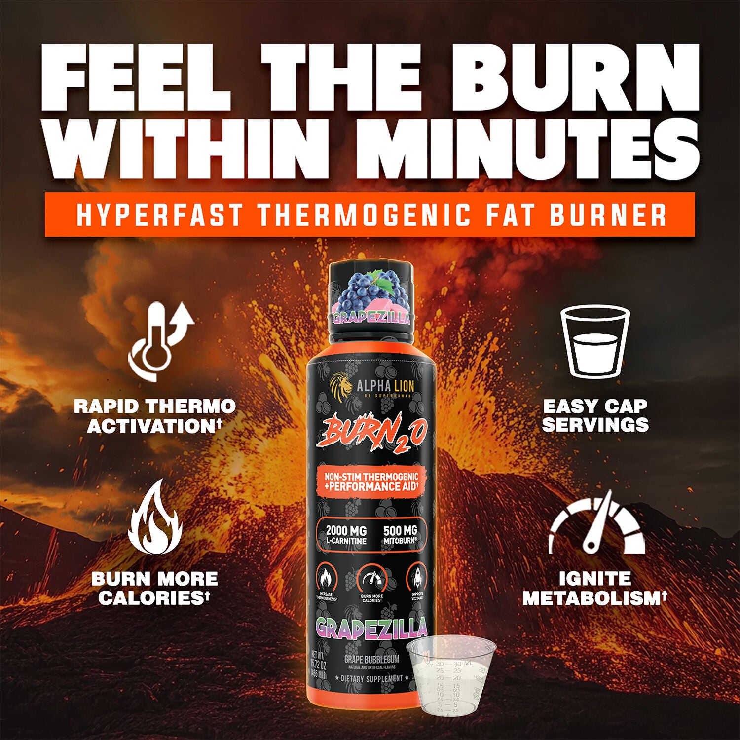 Burn2o Grapezilla - 15 fl oz. (31 Servings) Grapezilla | GNC