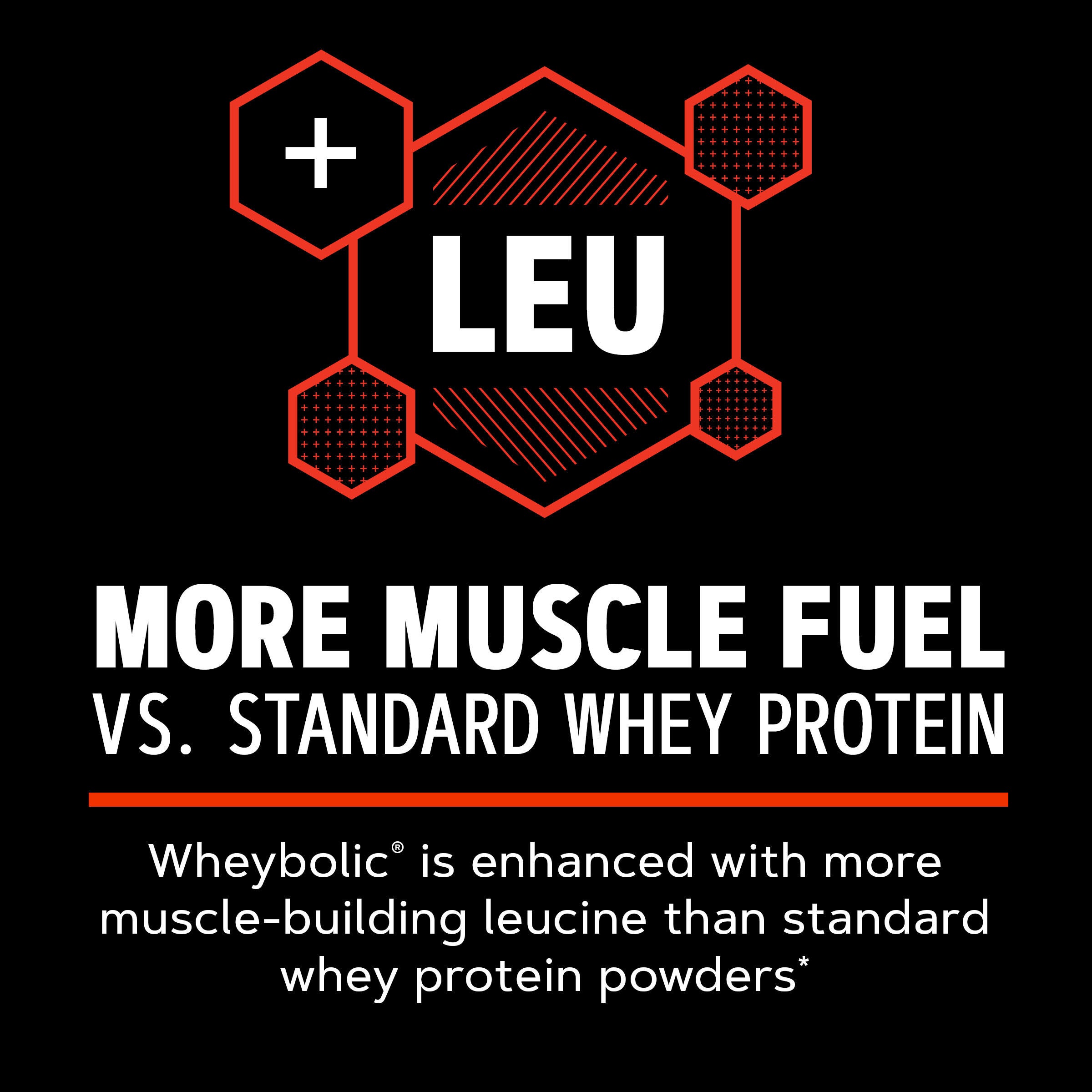 New Wheybolic - Chocolate Fudge (13 Servings) Chocolate Fudge | GNC