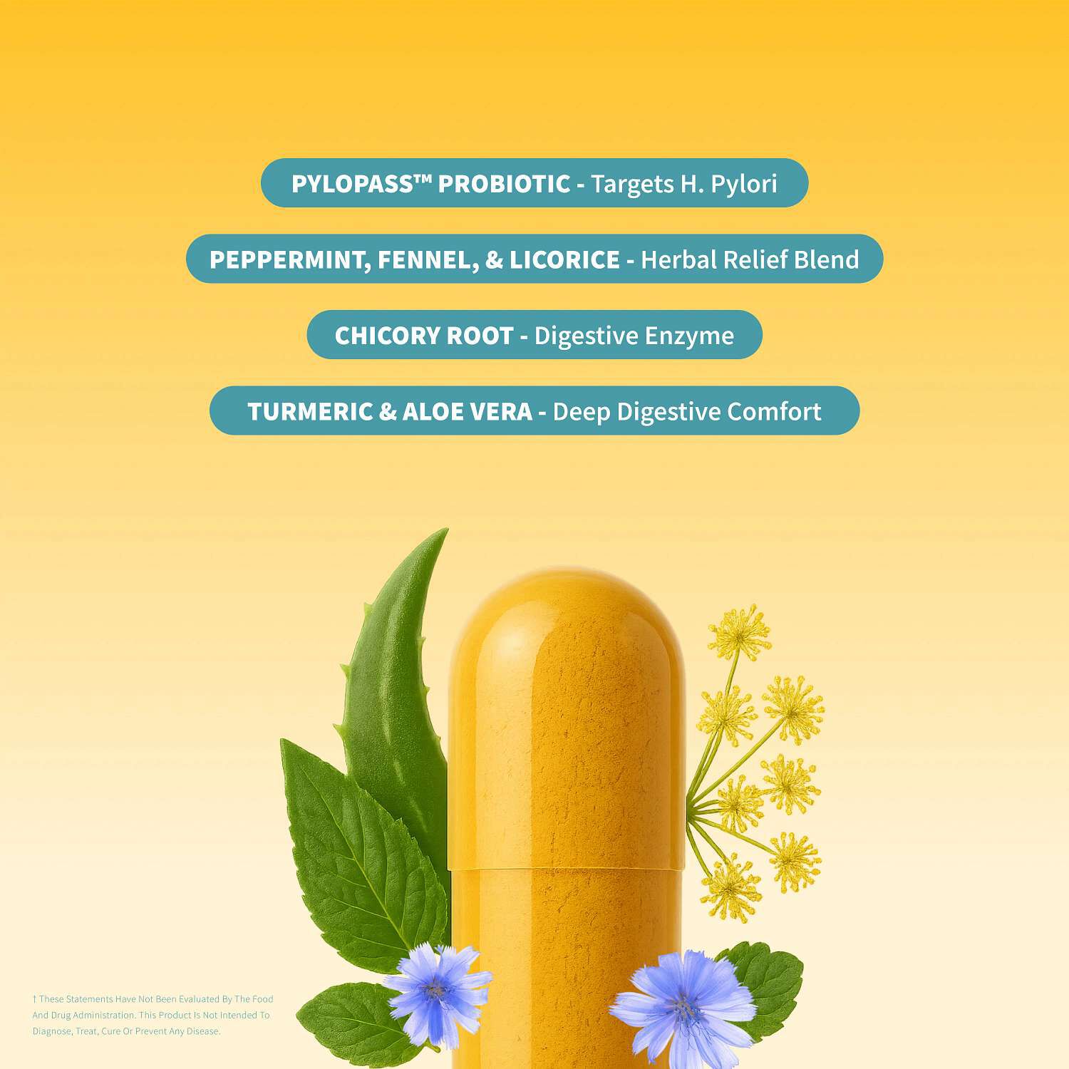 Gut Health Capsules - 60 Capsules (30 Servings)