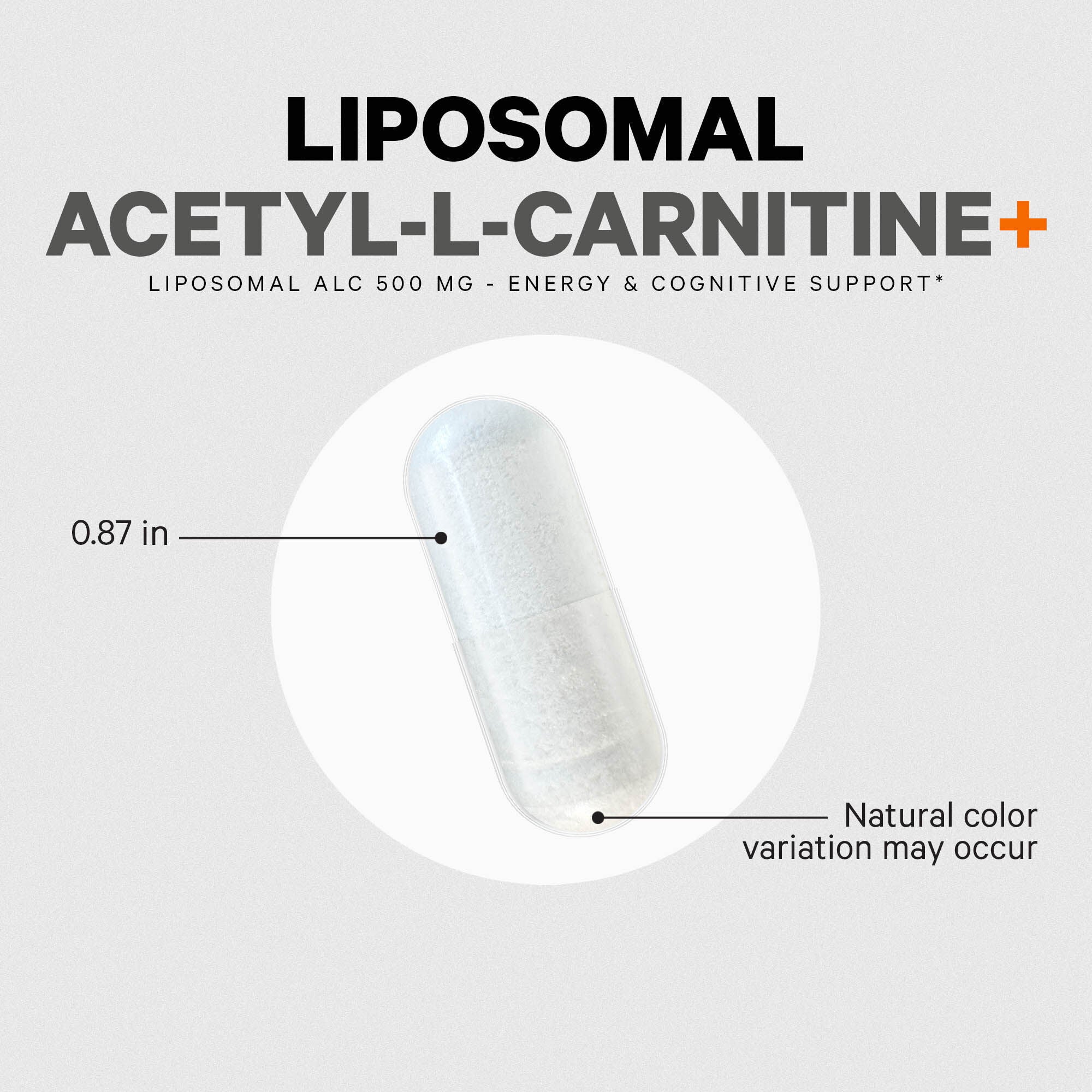 Liposomal Acetyl L-Carnitine+ - 90 Capsules (90 Servings)
