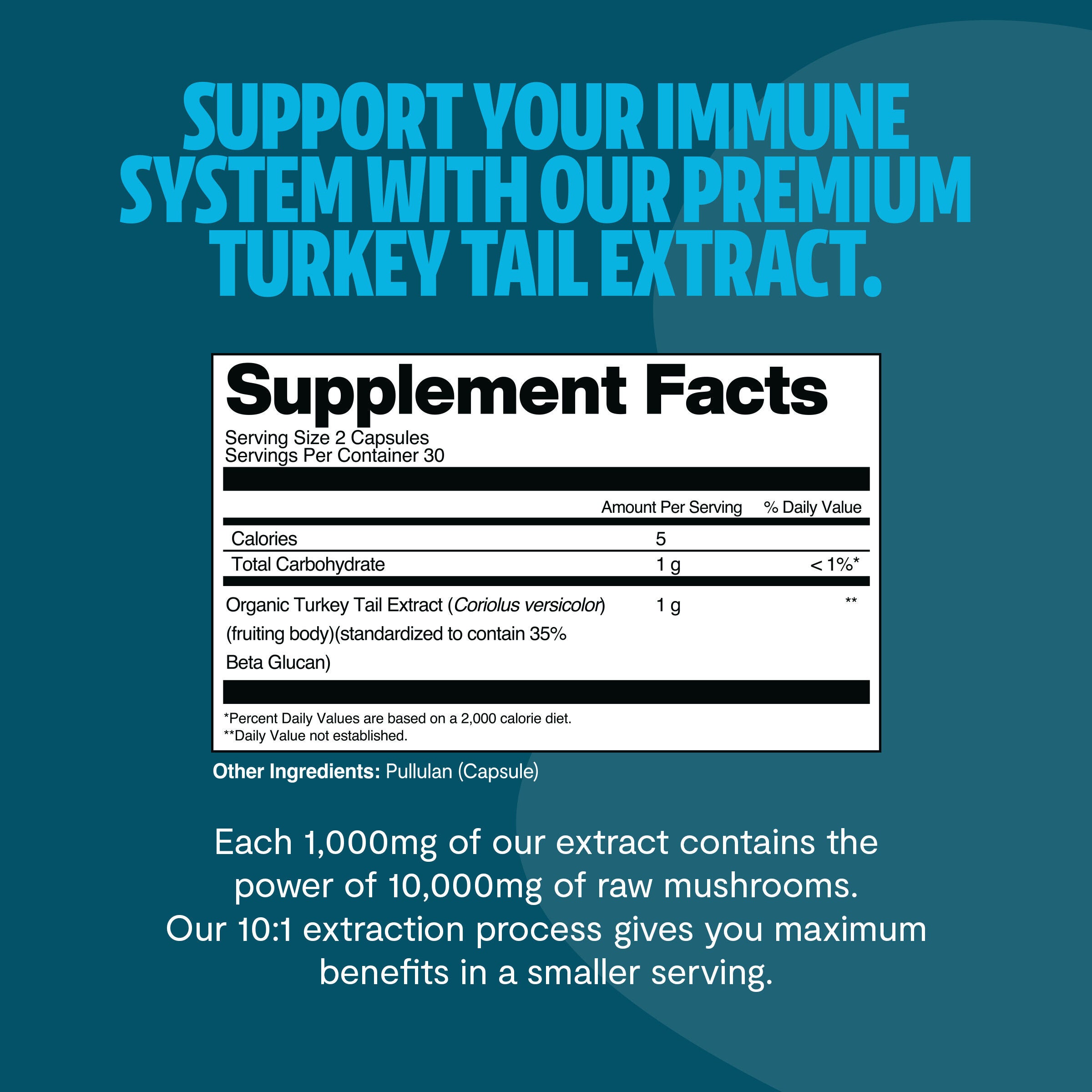 Turkey Tail - 60 Capsules (30 Servings)  | GNC