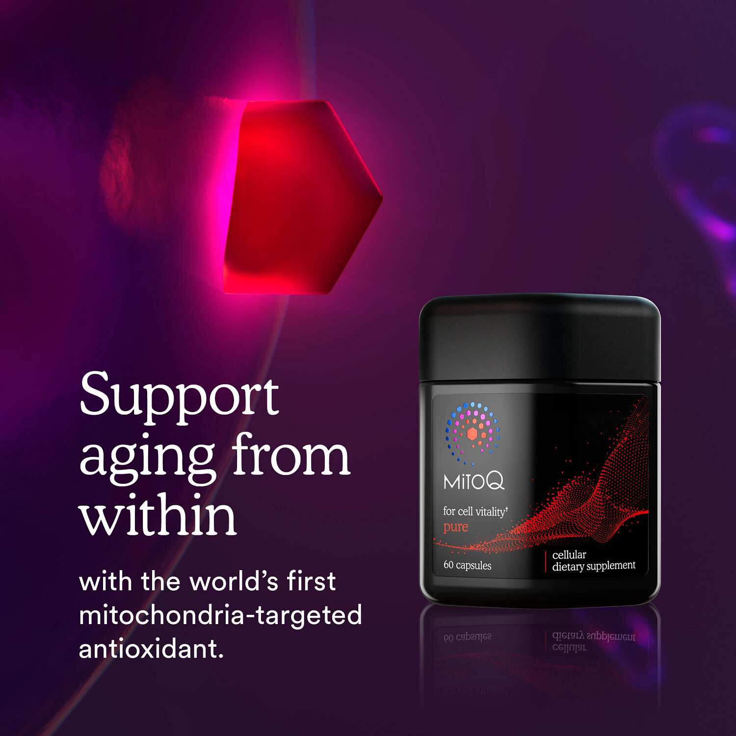 MitoQ Pure - 60 Capsules (30 Servings)