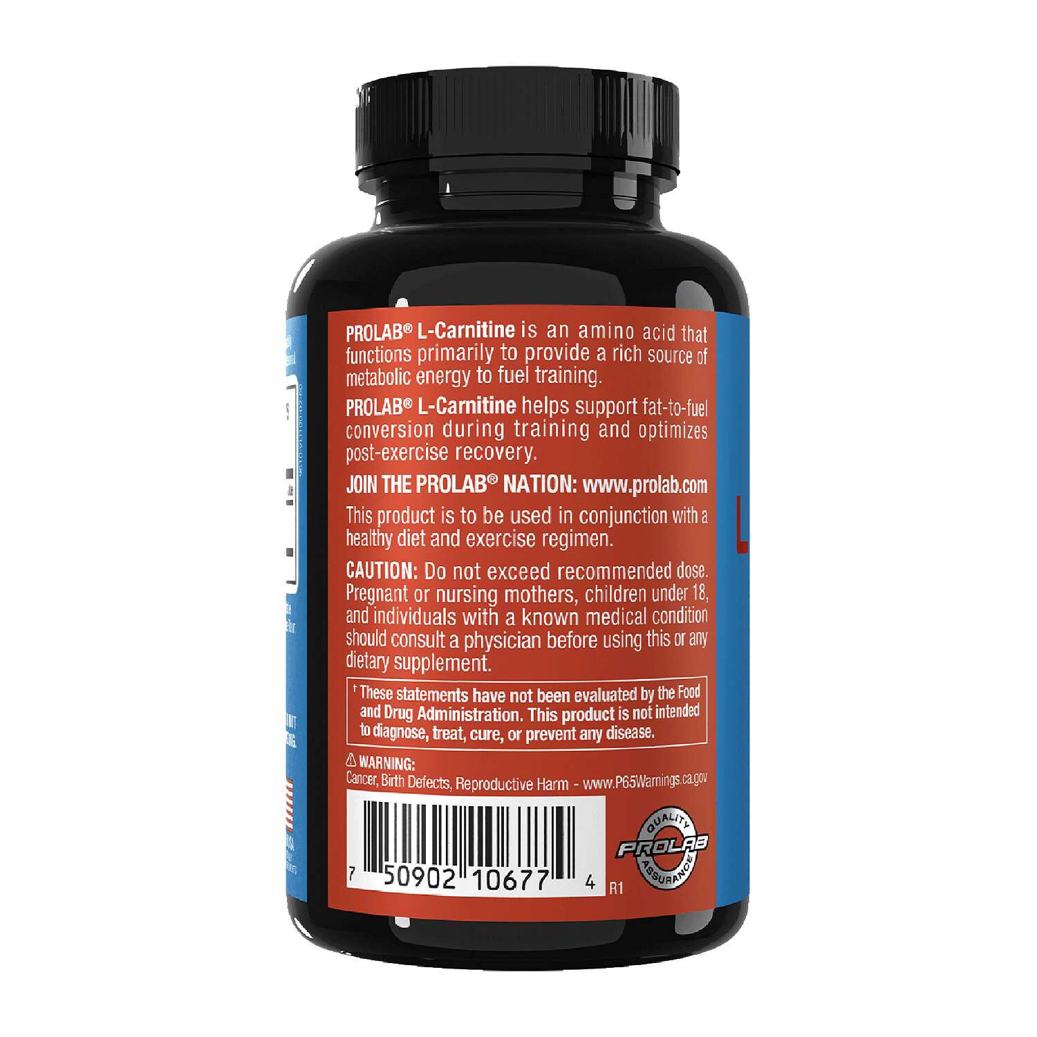 L-Carnitine - 60 Capsules (60 Servings)
