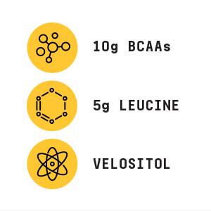 Precision BCAA - Gummy Worm(30 Servings) Gummy Worm | GNC