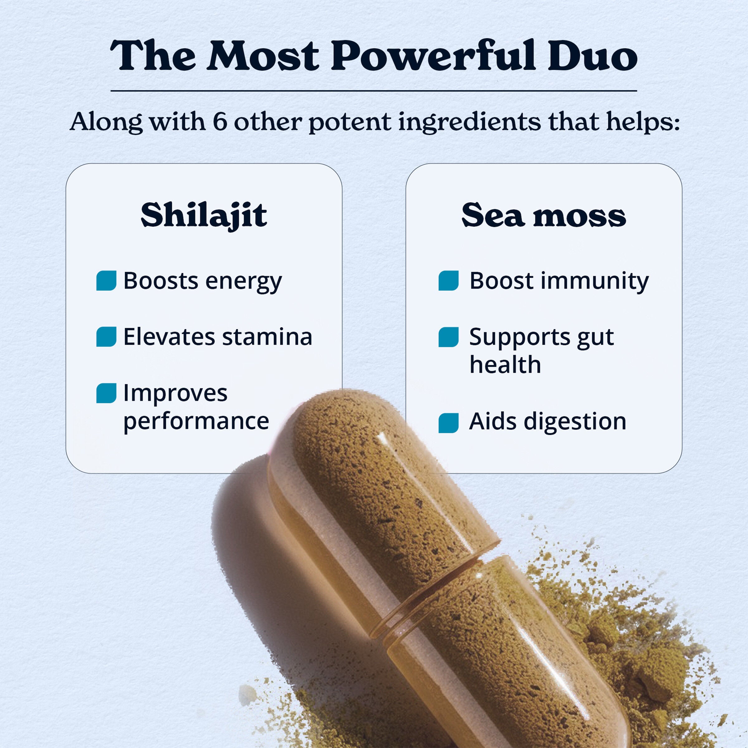 Shilajit Sea Moss - 120 Capsules (60 Servings)  | GNC