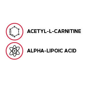 Acetyl-L-Carnitine alpha-Lipoic Acid 500mg / 200mg - 60 Caplets (30 Servings)  | GNC