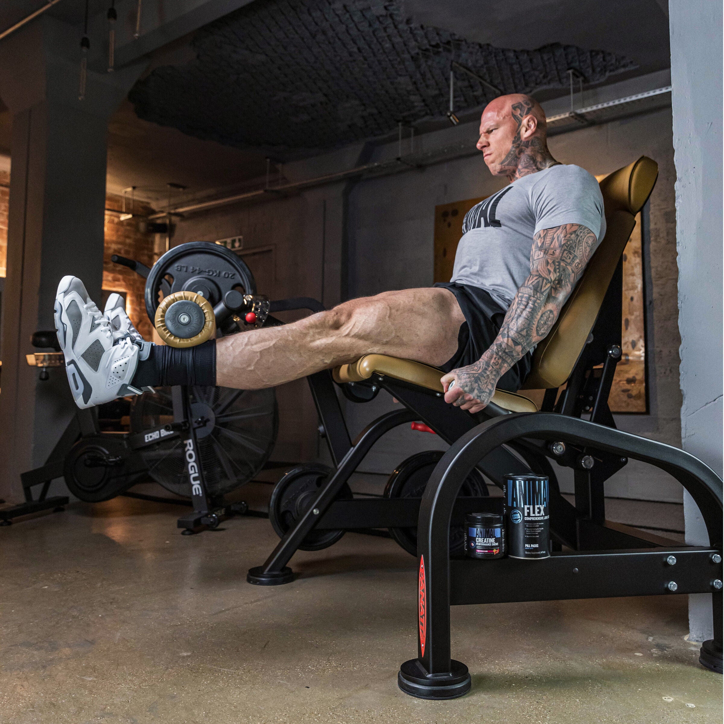 Animal Flex Comprehensive Joint Care - 44 Packs (44 Servings)  | GNC