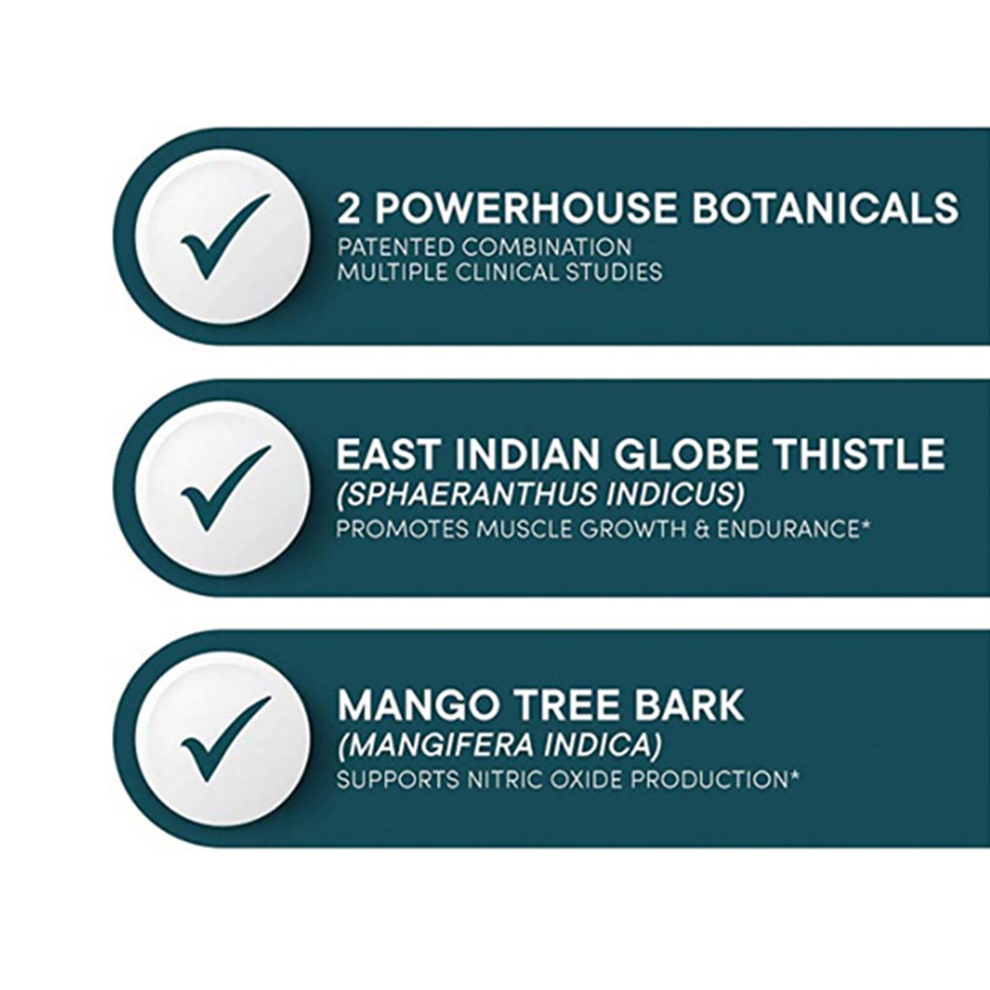 Muscle Accelerator (30 Servings)  | GNC