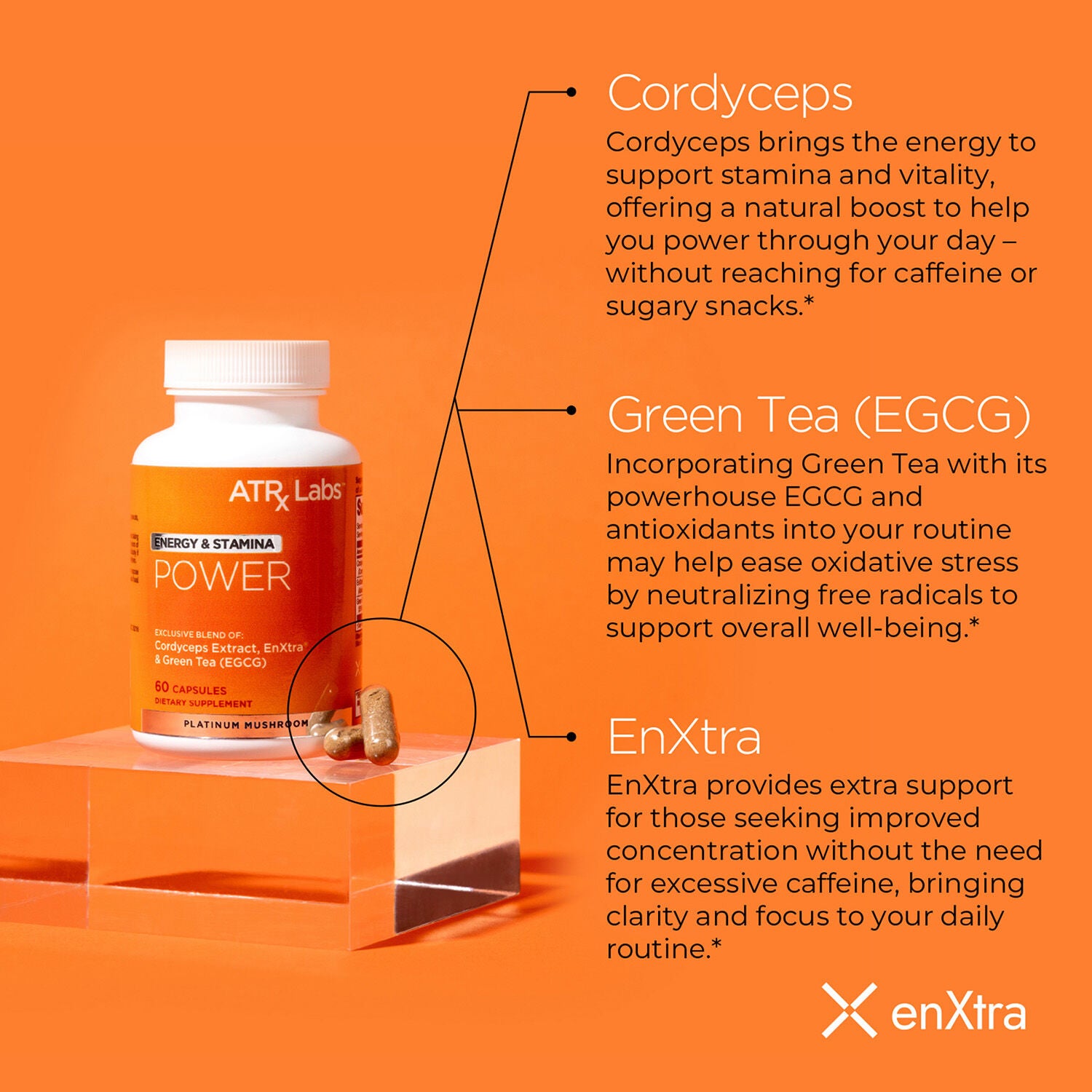 Power Platinum Mushroom - 60 Capsules (30 Servings)  | GNC