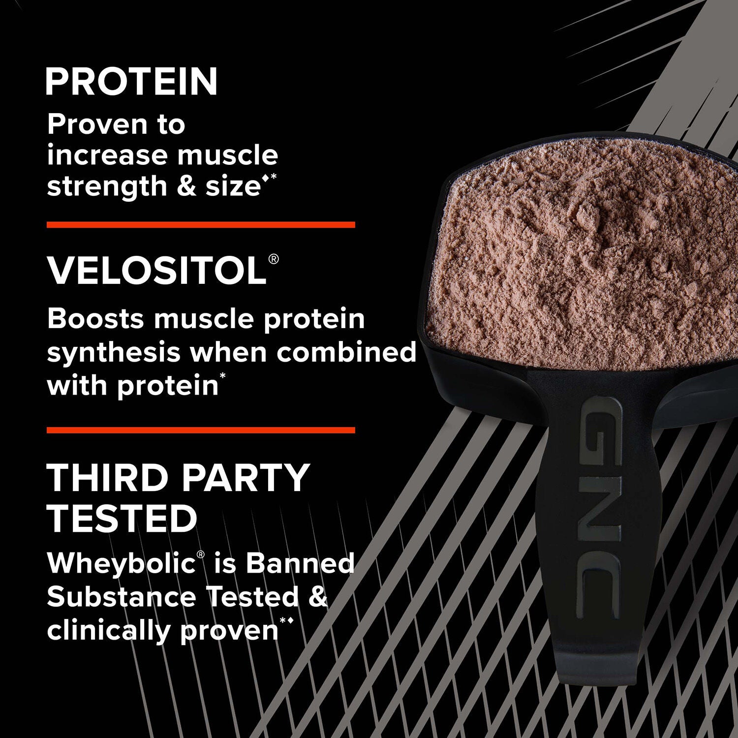 Wheybolic&trade; - Chocolate Fudge (10 Servings)