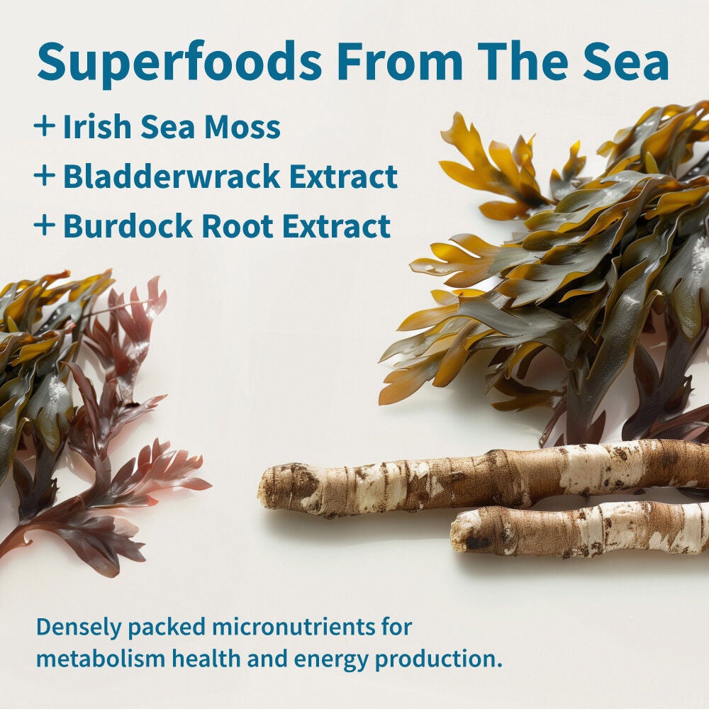 Irish Sea Moss - 60 Capsules &#40;30 Servings&#41;  | GNC