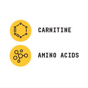 Chemistry Labs™ L-Carnitine - 30 Servings