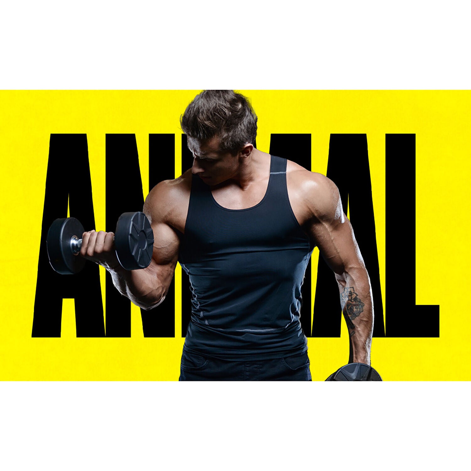 Animal Pak Ultimate Foundation Pill Packs - 44 Packs &#40;22 Servings&#41;  | GNC