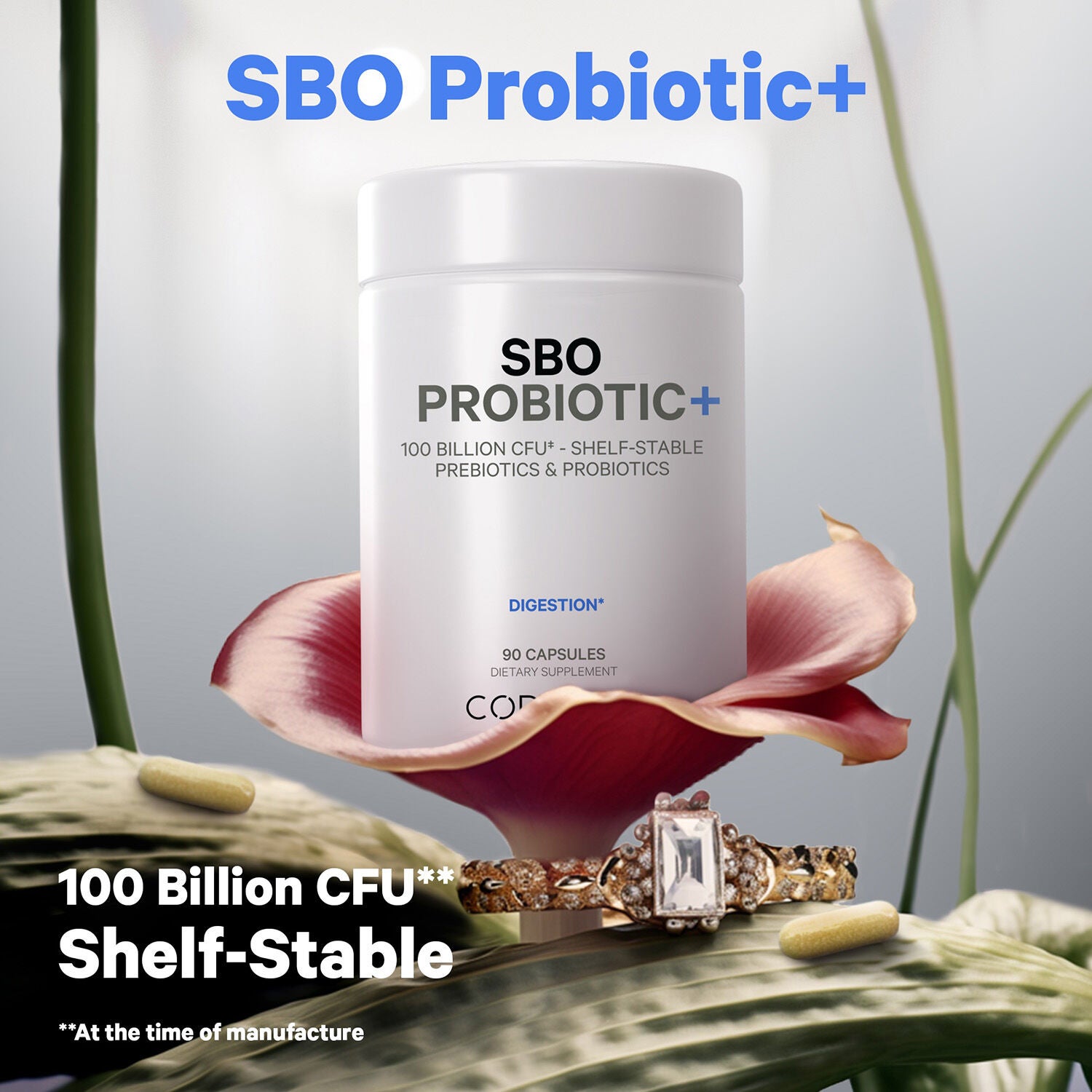 SBO Probiotic+ 100 Billion CFU &amp; Prebiotics Vegan Digestion - 90 Capsules (45 Servings)  | GNC