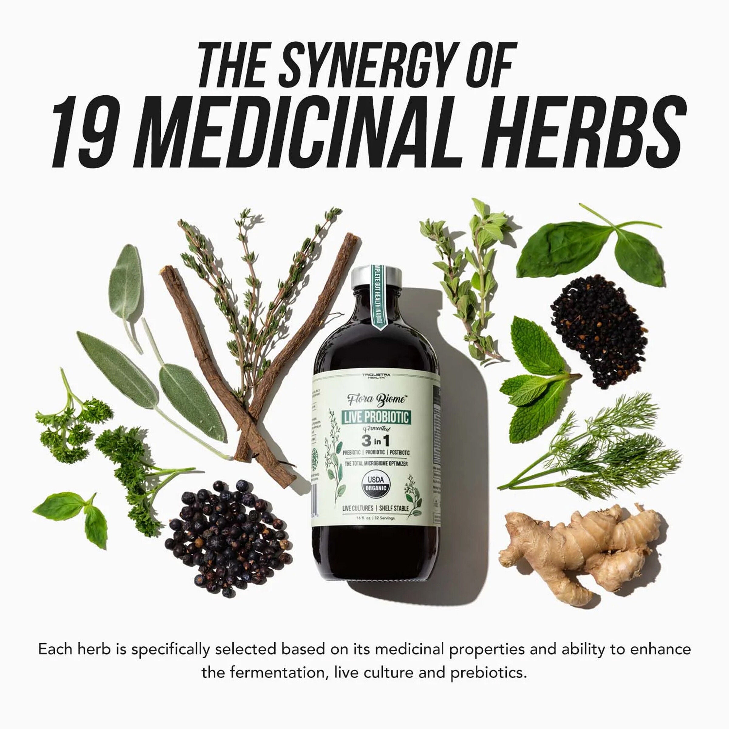 Flora Biome 3-in-1 Live Probiotic - 16 fl oz (32 Servings)  | GNC