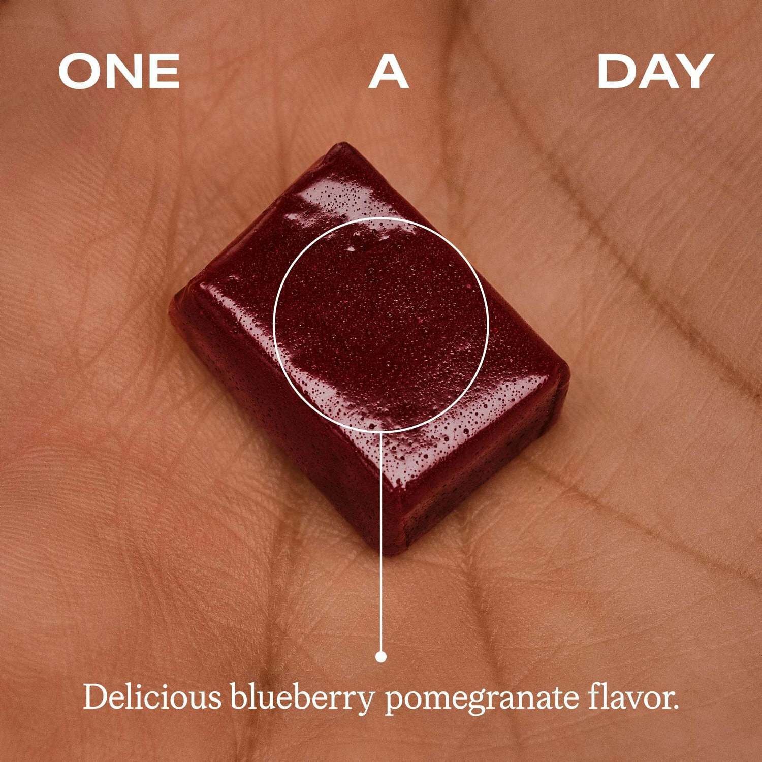 Memory + Focus - Blueberry Pomegranate - 30 Chews (30 Servings)