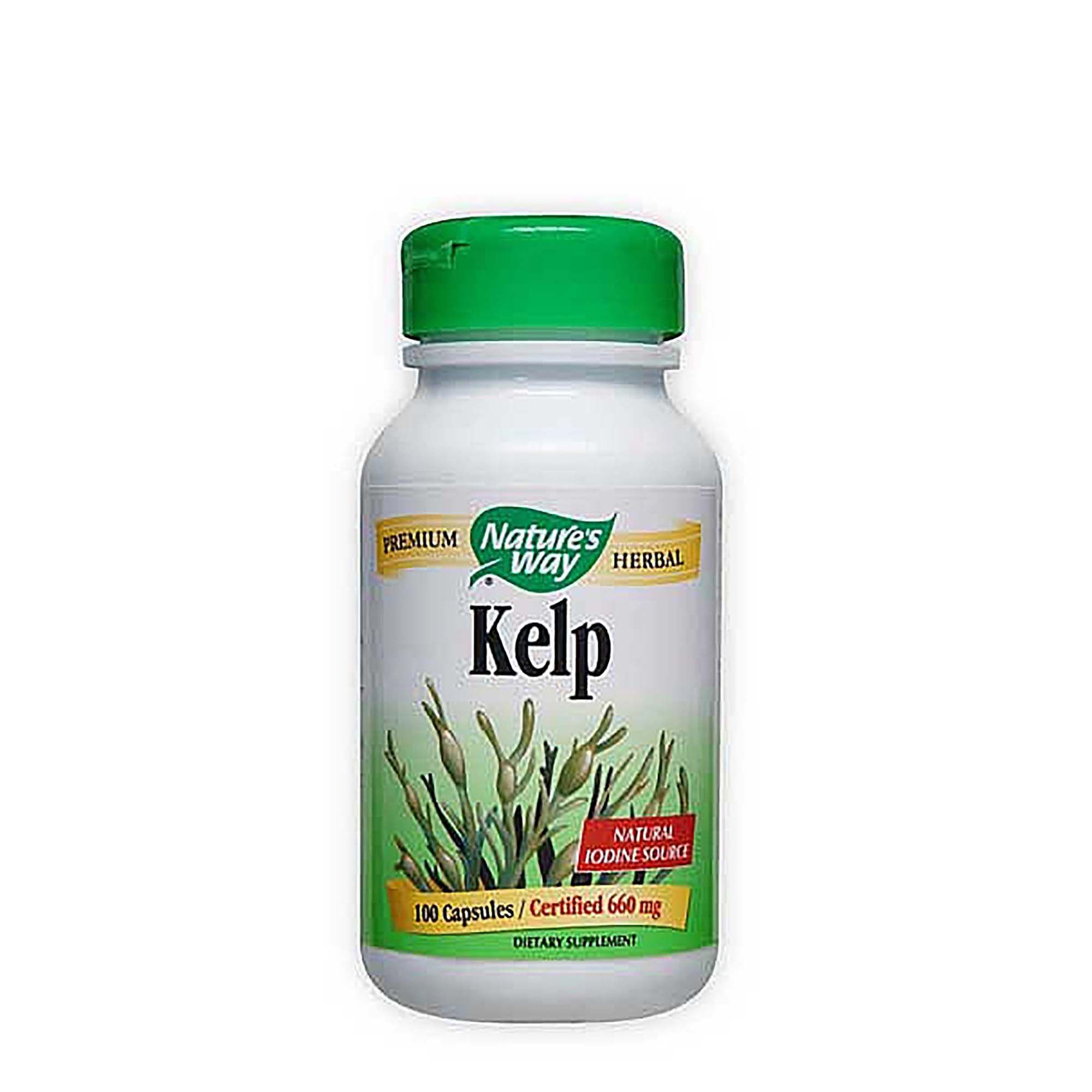 Nature S Way Kelp Certified 600mg Gnc