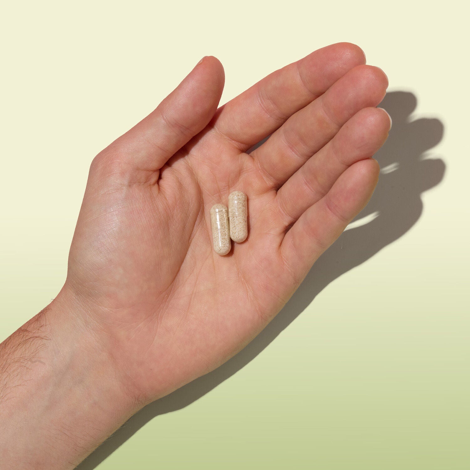 Ashwagandha 600mg - 60 Capsules (30 Servings)