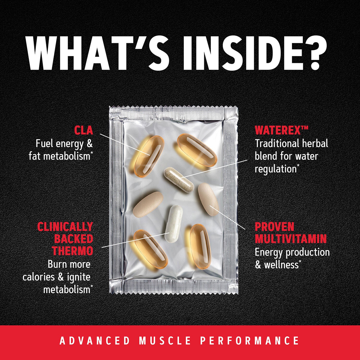 Ripped Vitapak&reg; Program (1 Monthly Supply)  | GNC