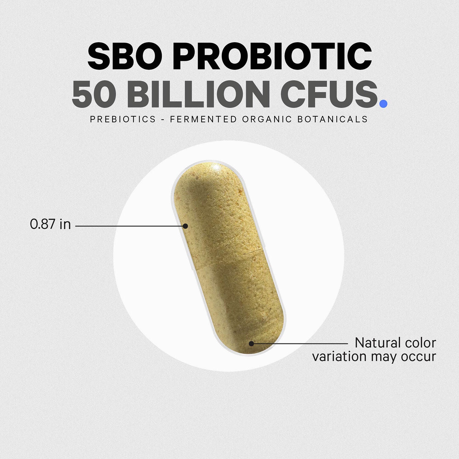 SBO Probiotic+ 50 Billion CFU &amp; Prebiotics - Vegan Digestion Supplement - 90 Capsules (45 Servings)  | GNC