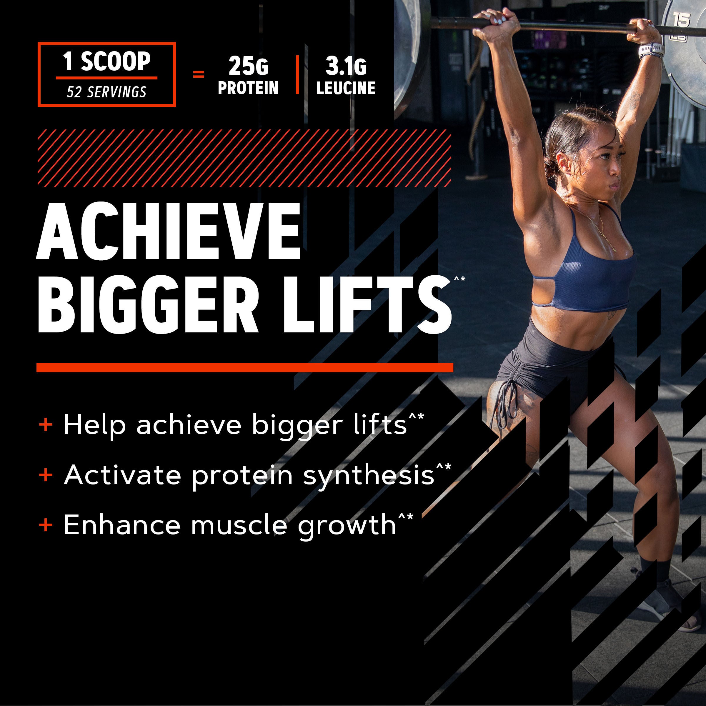 New Wheybolic - Chocolate Fudge (52 Servings) Chocolate Fudge | GNC