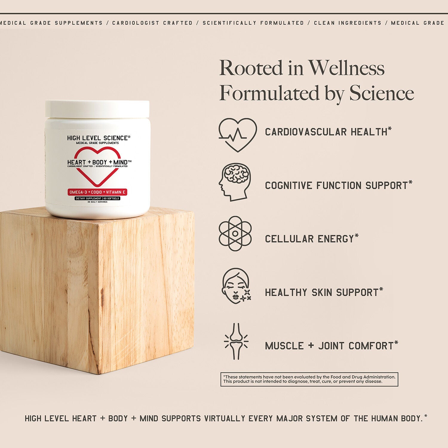 High Level Science Formulated by Science