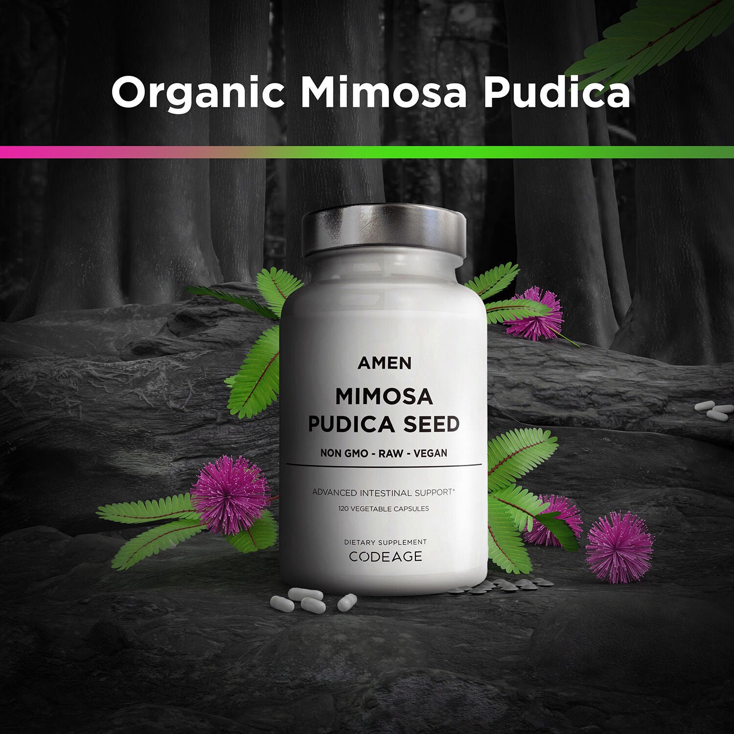 Amen Mimosa Pudica Seed 900 mg - Immune and Digestive Support - 120 Vegetable Capsules (60 Servings)  | GNC