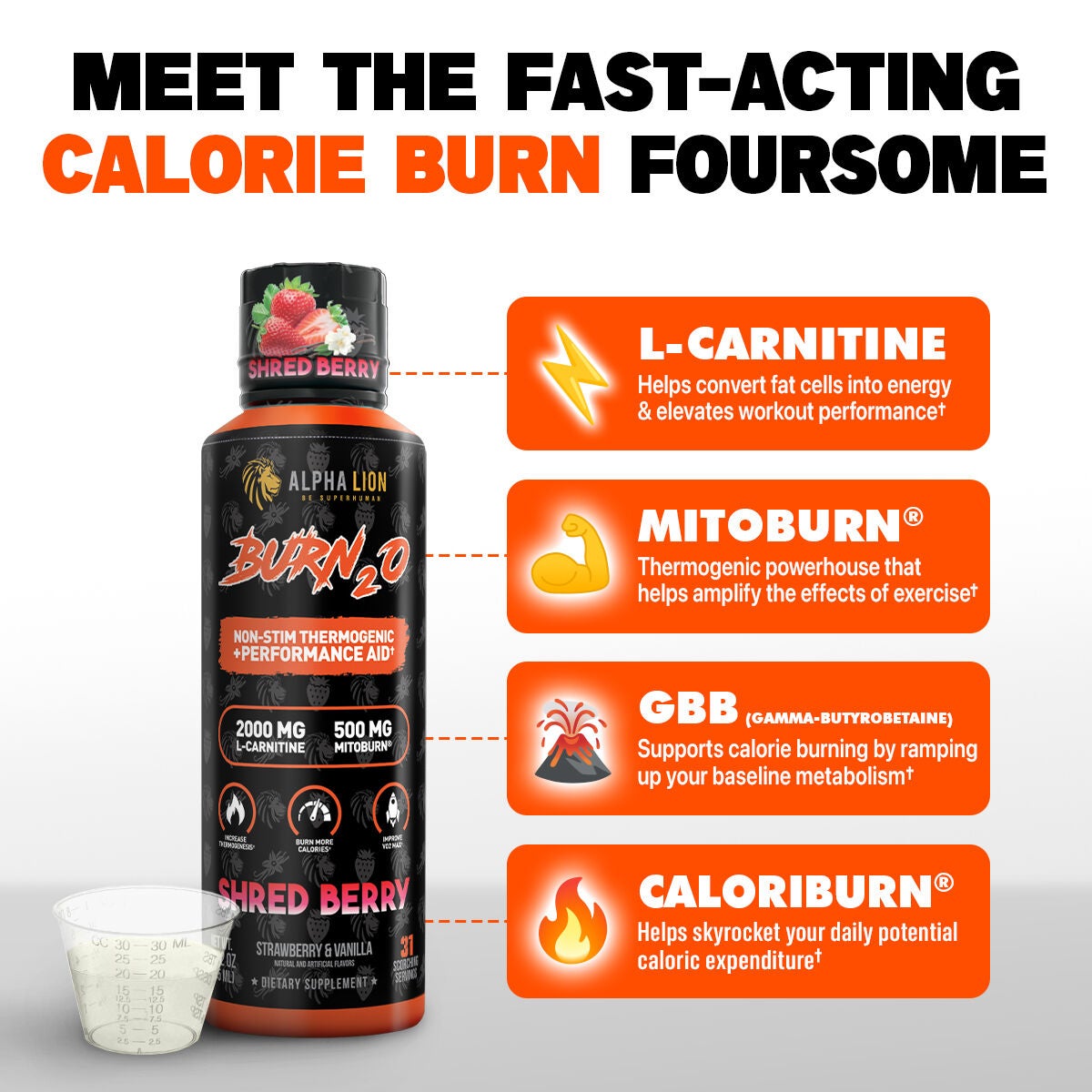 Alpha Lion Burn-2-0 - Shredberry (31 Servings) | GNC