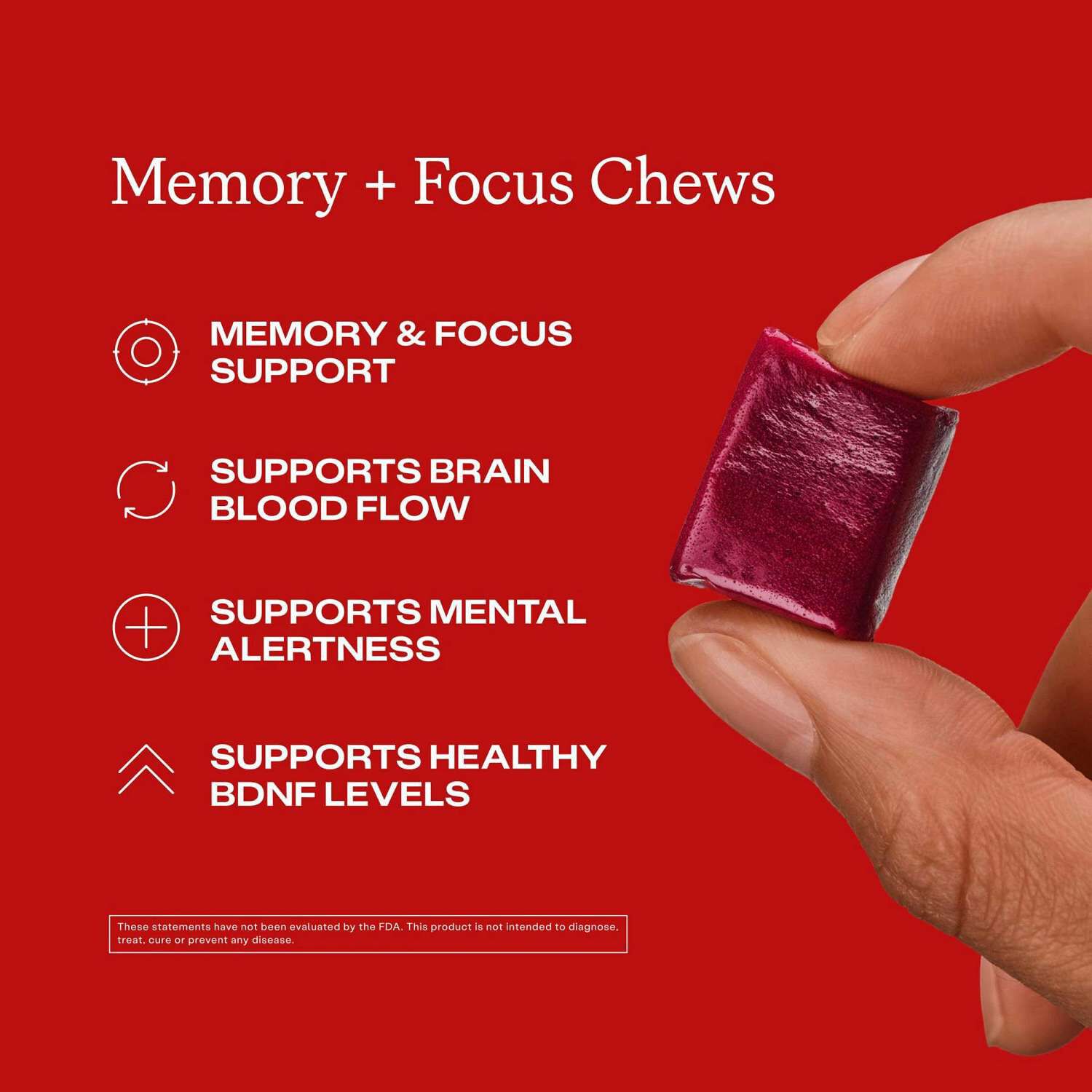 Memory + Focus - Blueberry Pomegranate - 30 Chews (30 Servings)