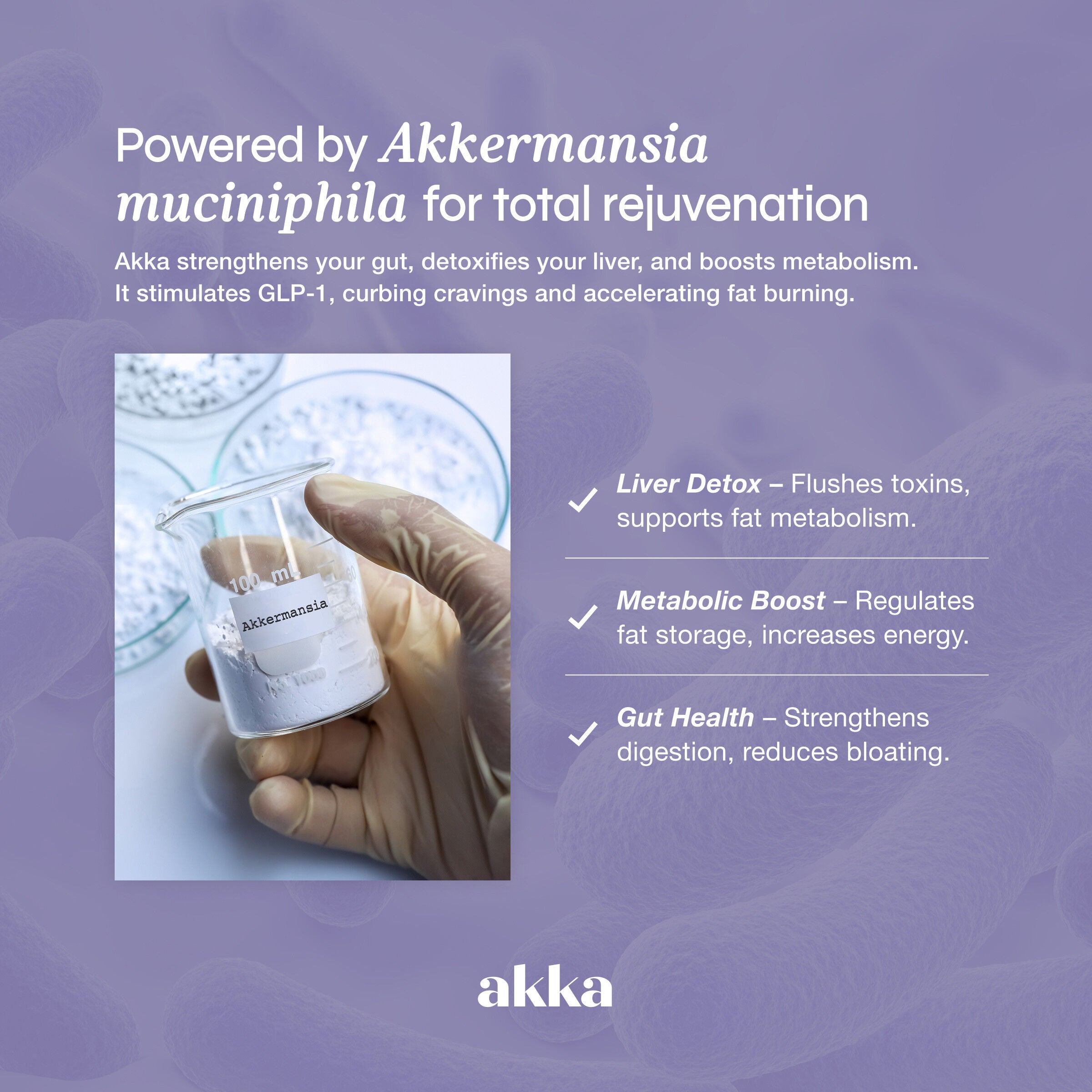 Akka: Akkermansia Superbiotic - 60 Capsules (30 Servings)