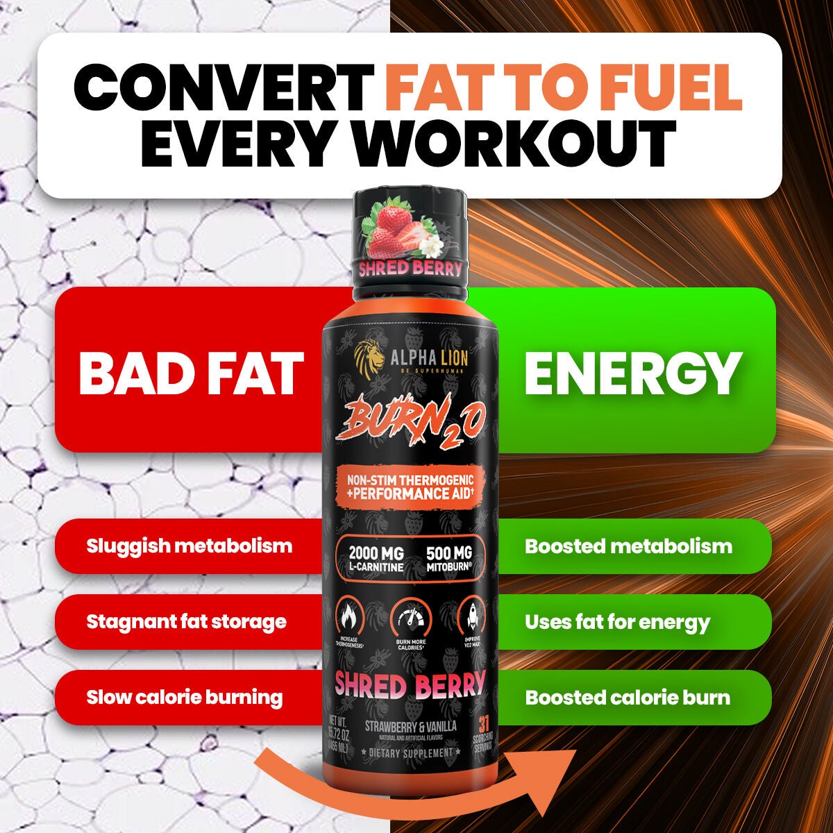 Burn2o Shredberry - 15 fl oz. (31 Servings) Shredberry | GNC