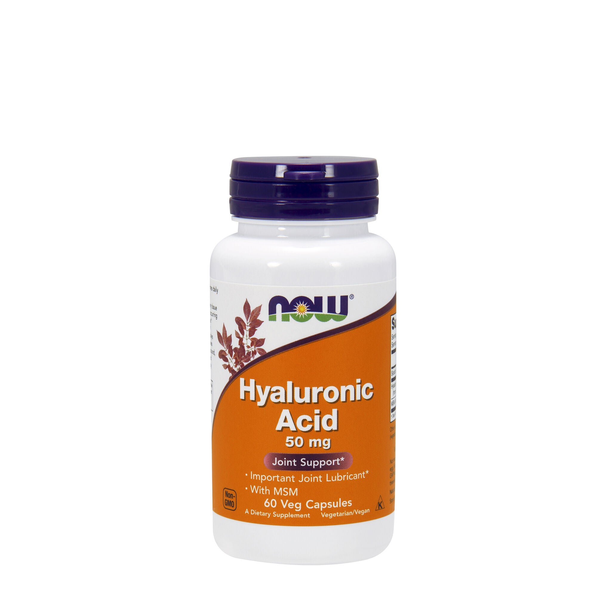 Now Hyaluronic Acid Joint Support With Msm Gnc