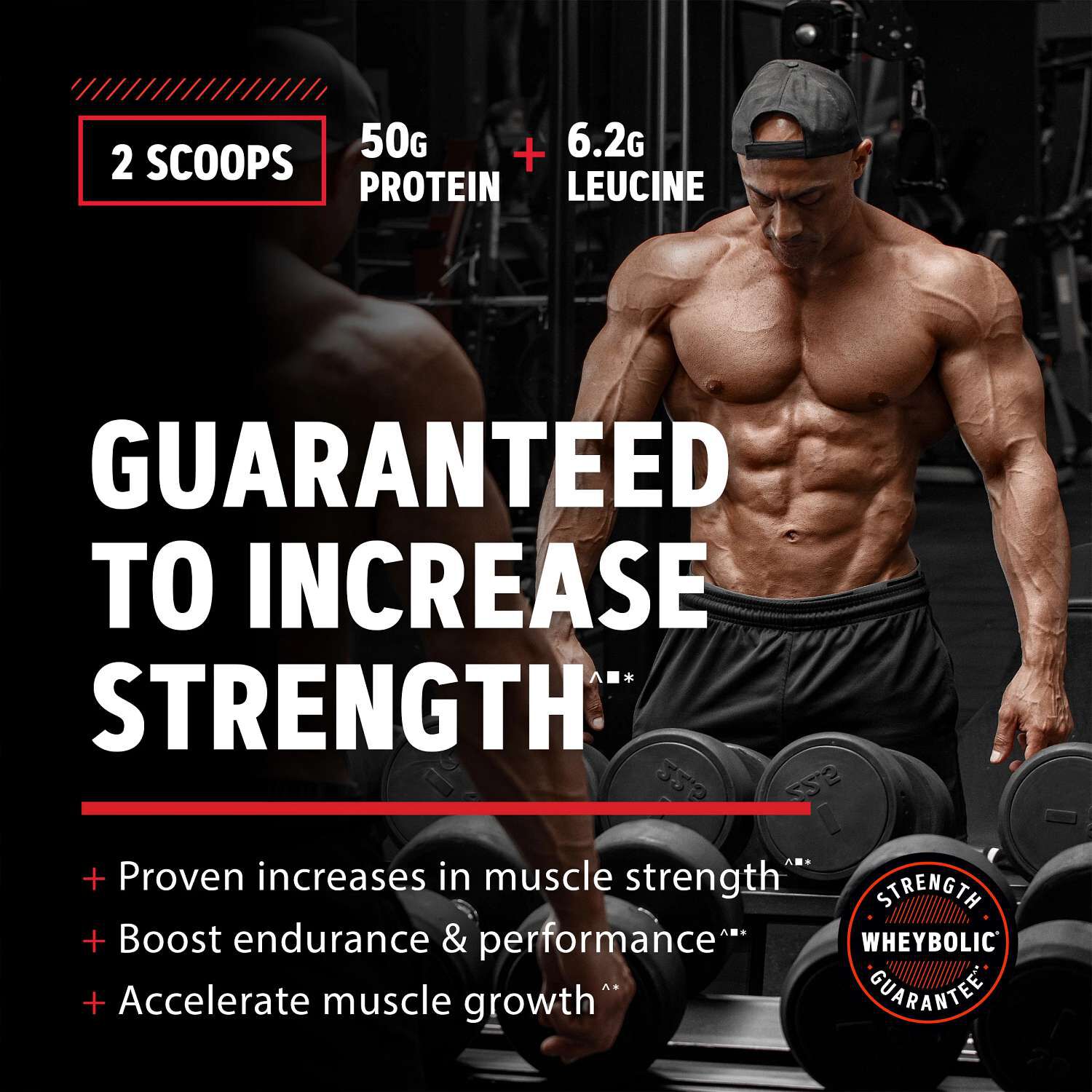 Wheybolic&reg; Ripped - Classic Vanilla (13 Servings)
