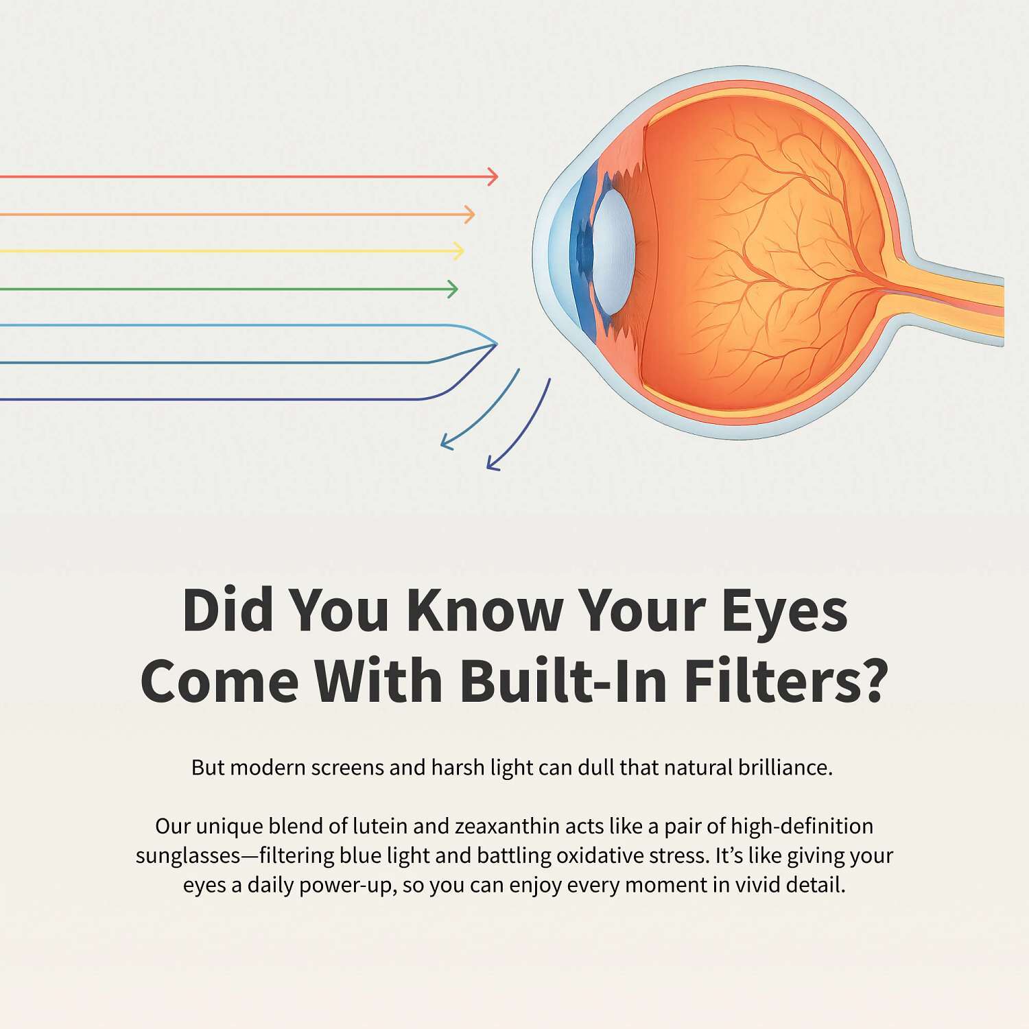 Eye Health - 60 Capsules (30 Servings)