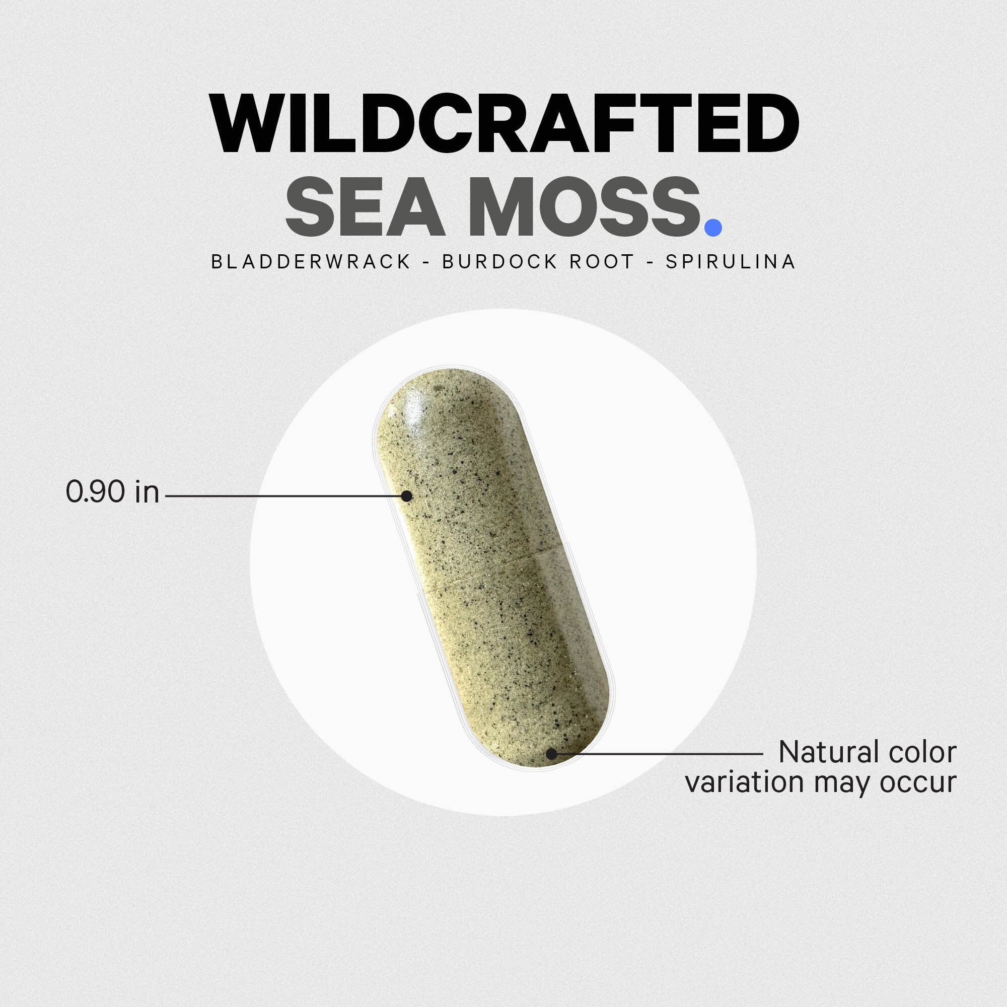 Wildcrafted Sea Moss - 120 Capsules (60 Servings)  | GNC