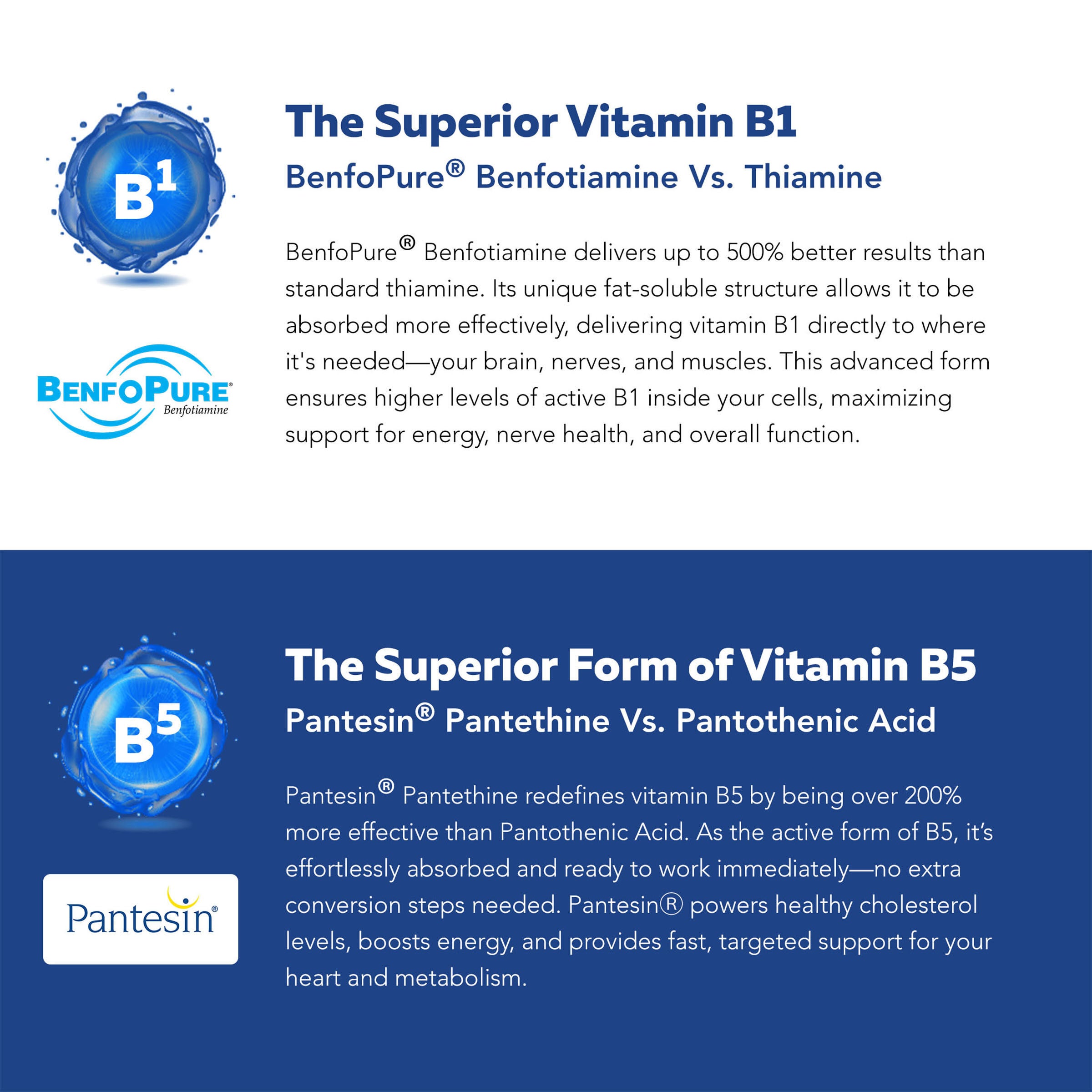 BioActive B-Complex Max Strength - 60 Capsules (60 Servings)  | GNC