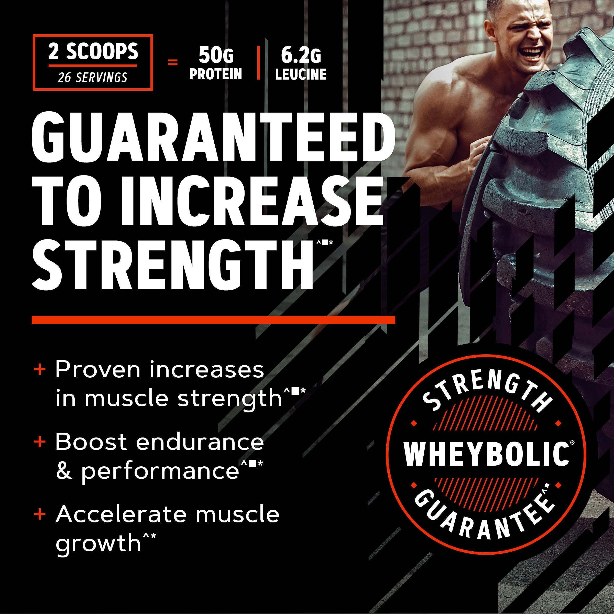 New Wheybolic - Cookies & Cream (52 Servings)