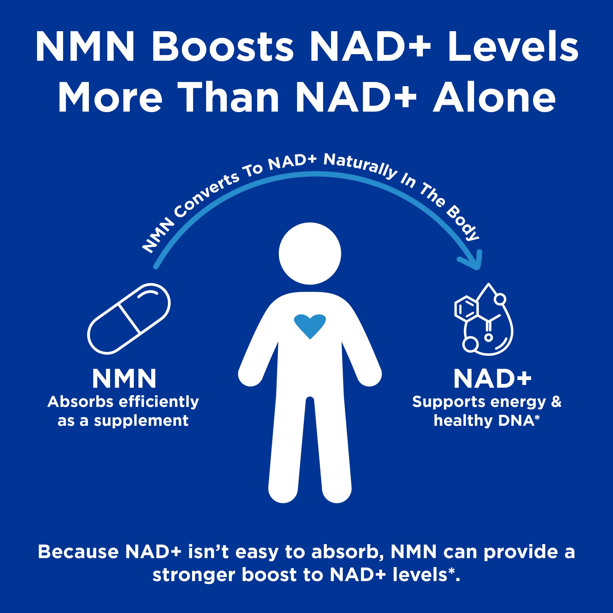 GNC Preventive Nutrition&reg; NMN &ndash; NAD+ Support Capsules - 60 Capsules (60 Servings)  | GNC