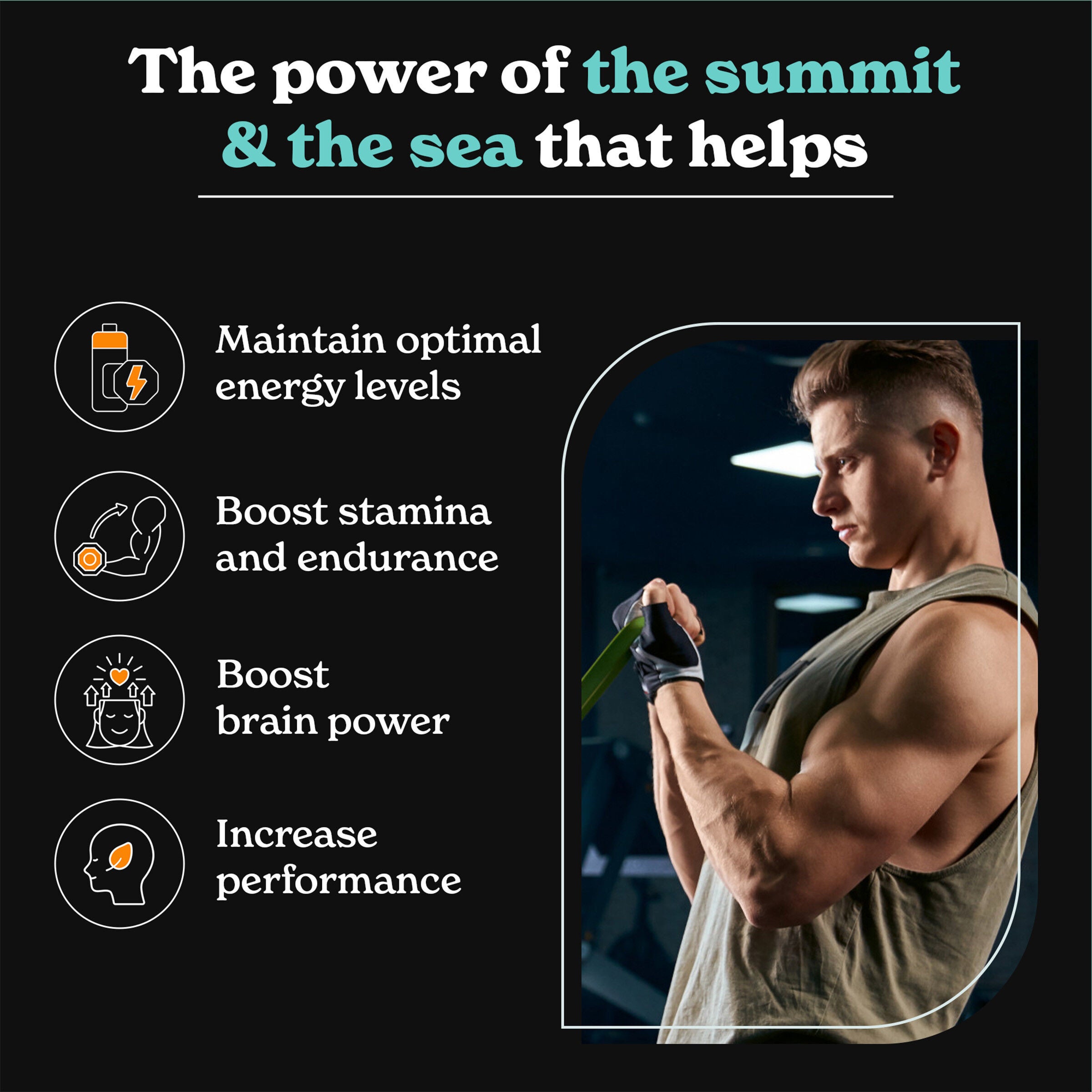 Shilajit Sea Moss - 120 Capsules (60 Servings)  | GNC