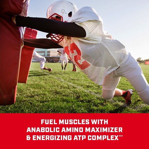Bulk 1340 - Cookies and Cream &#40;9 Servings&#41; Cookies and Cream | GNC