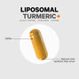Liposomal Fermented Turmeric + Black Pepper - Curcumin &amp; Ginger - 90 Capsules &#40;30 Servings&#41;  | GNC