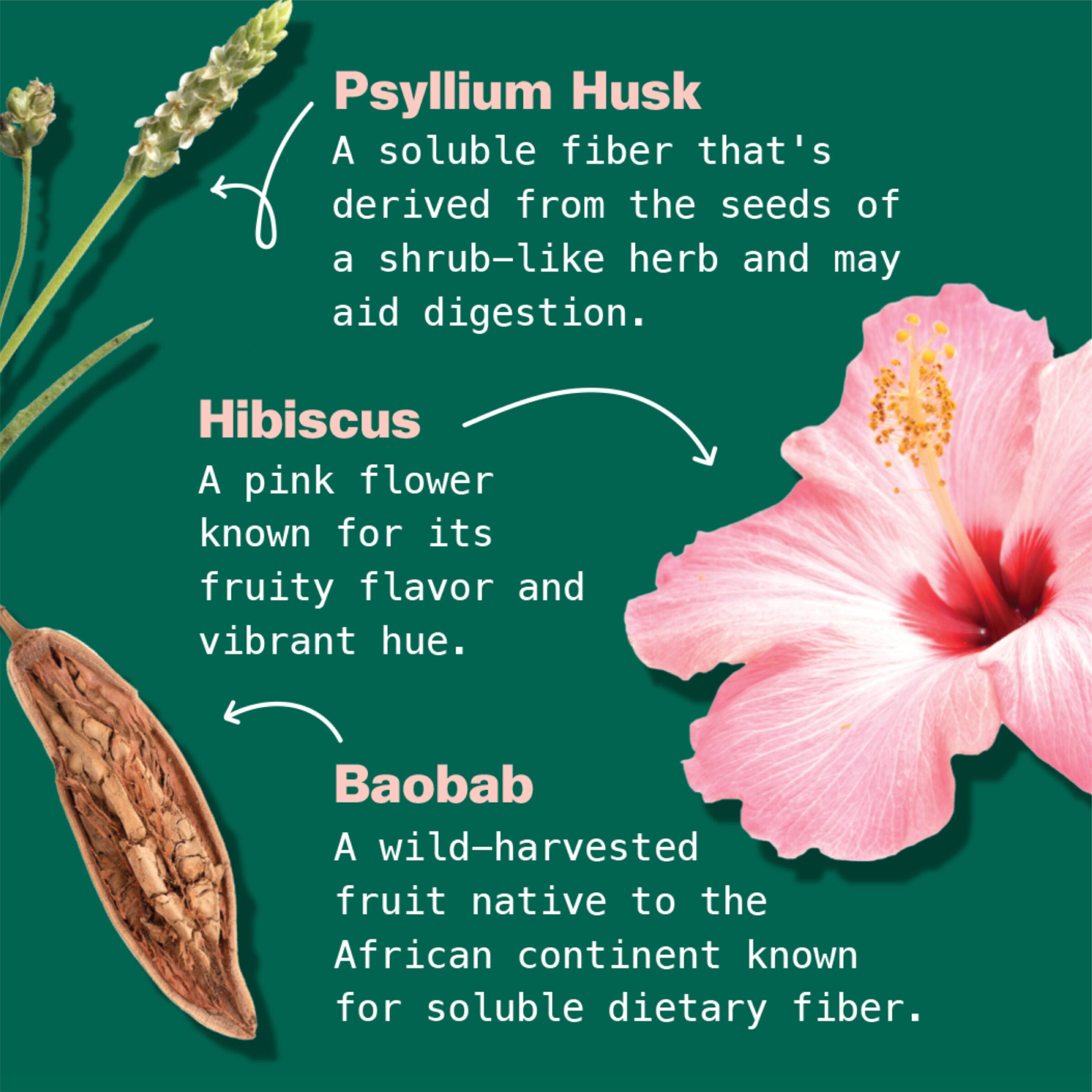 Organic Superfood Latte - Strawberries &amp; Creme - 4.43 oz (14 Servings)  | GNC