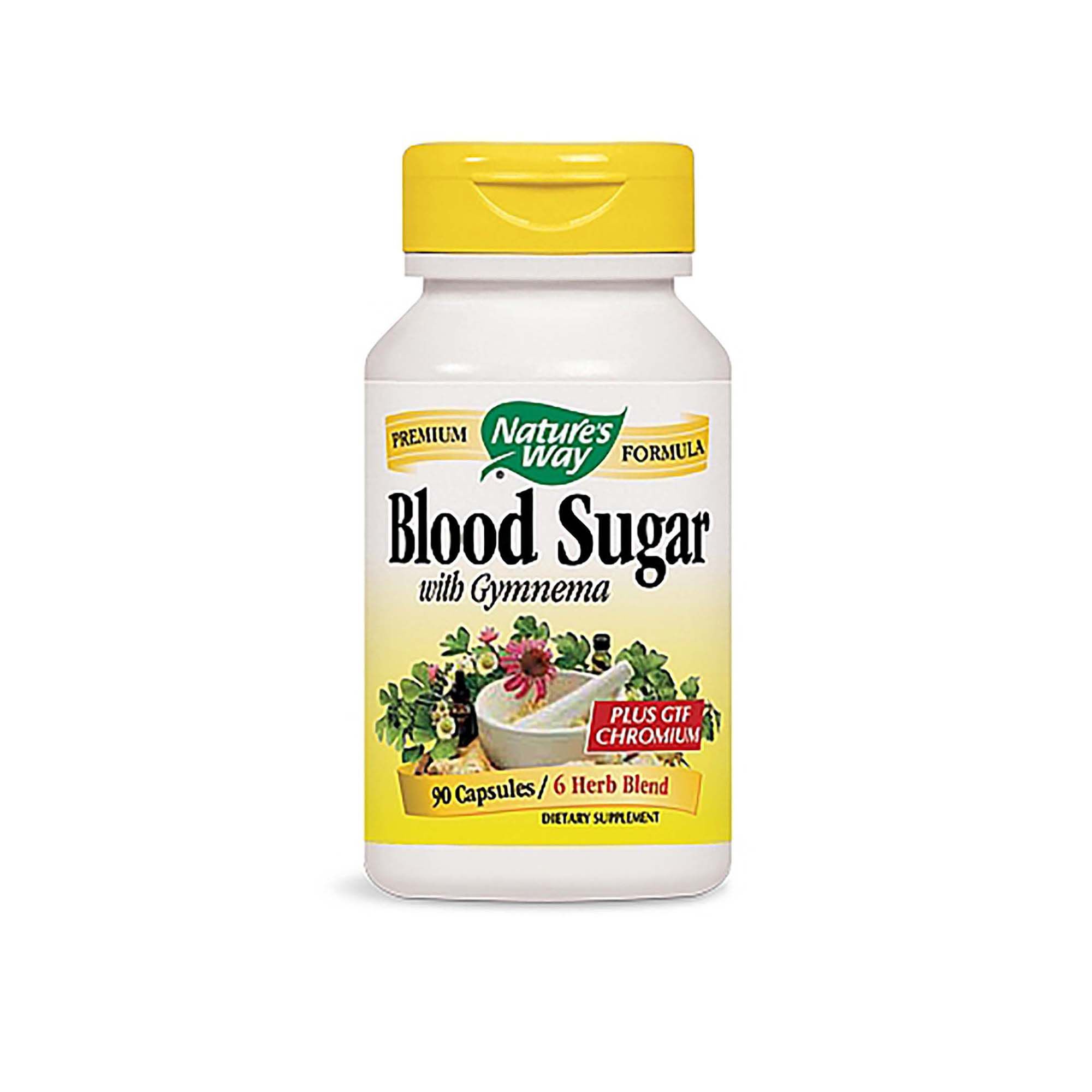 Nature S Way Blood Sugar With Gymnema Gnc