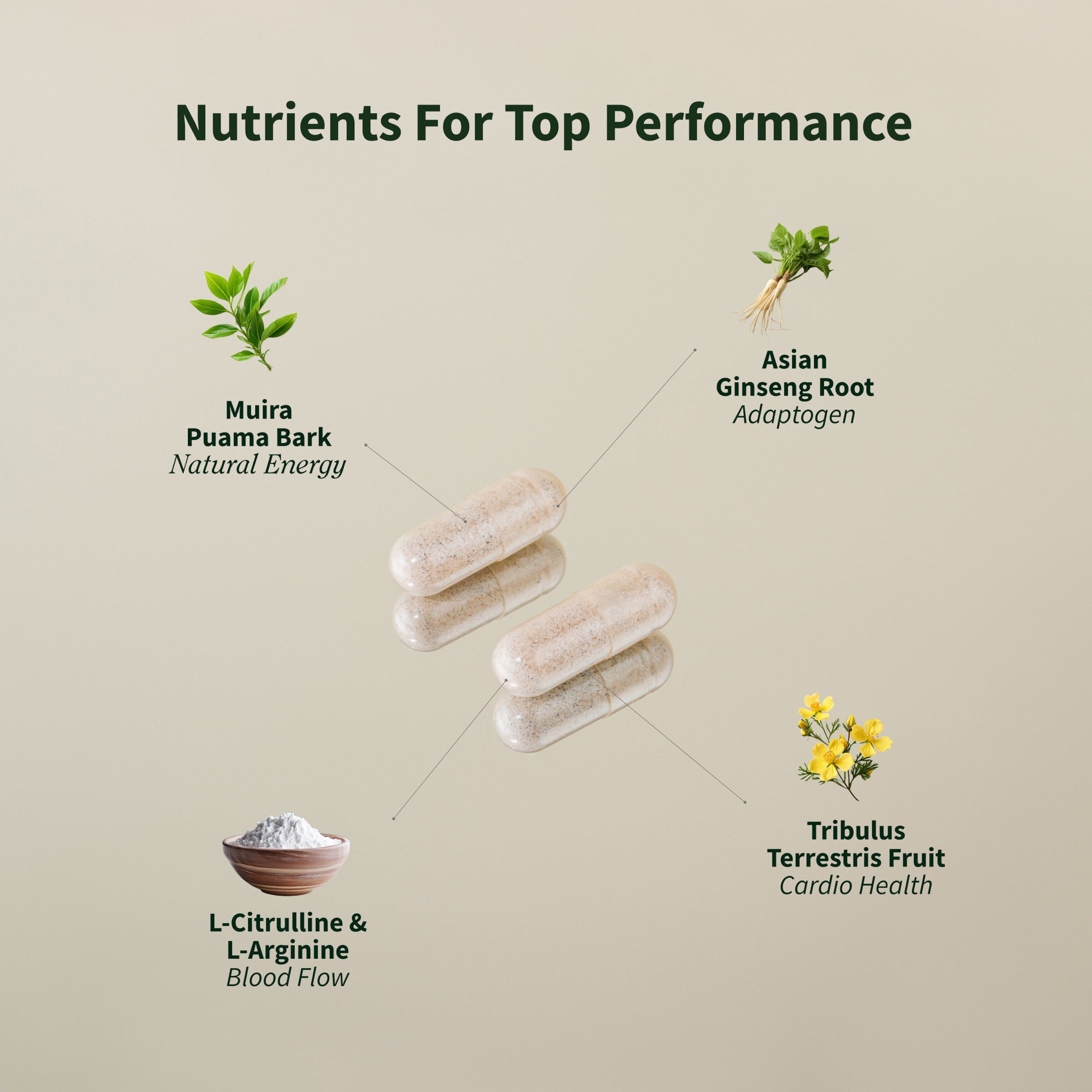 SNAP® Supplements Nitric Oxide Booster - 90 Capsules | GNC