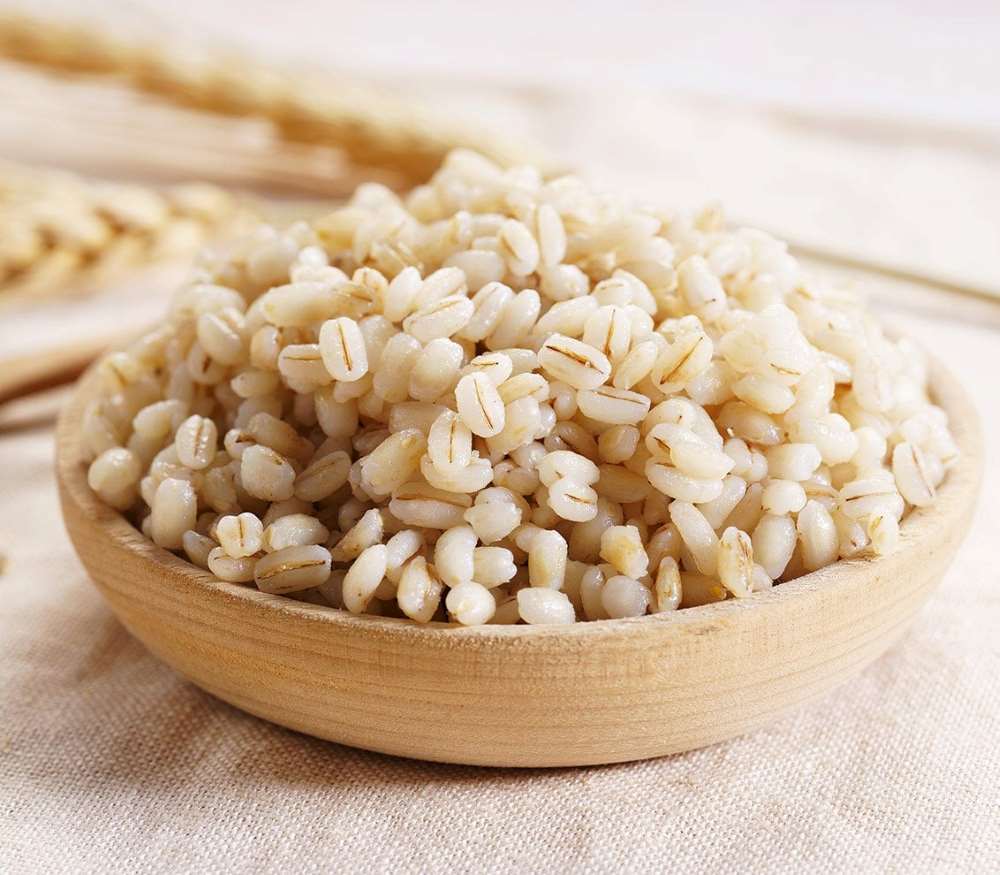 A bowl of cooked barley grains.