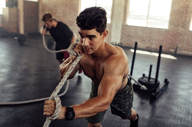 Gnc sales exercise equipment