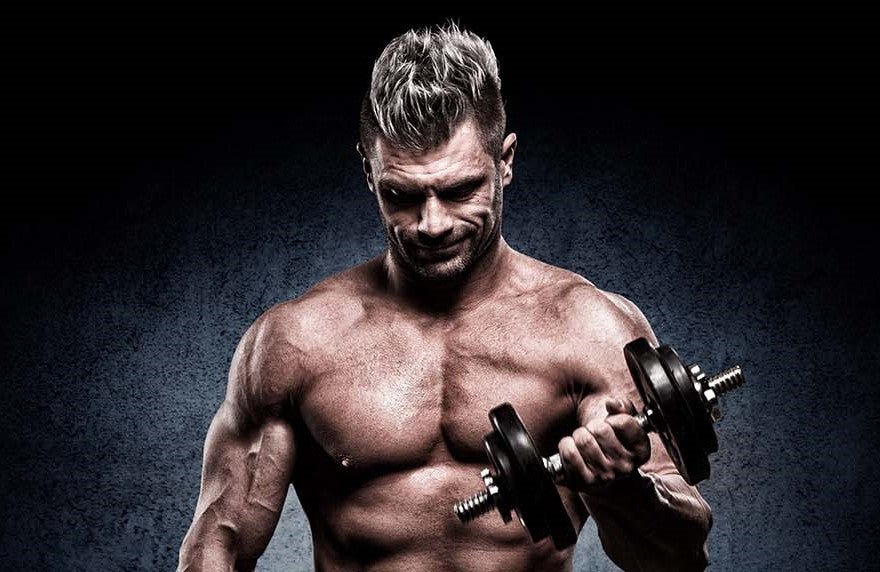 Gnc Best Muscle Building