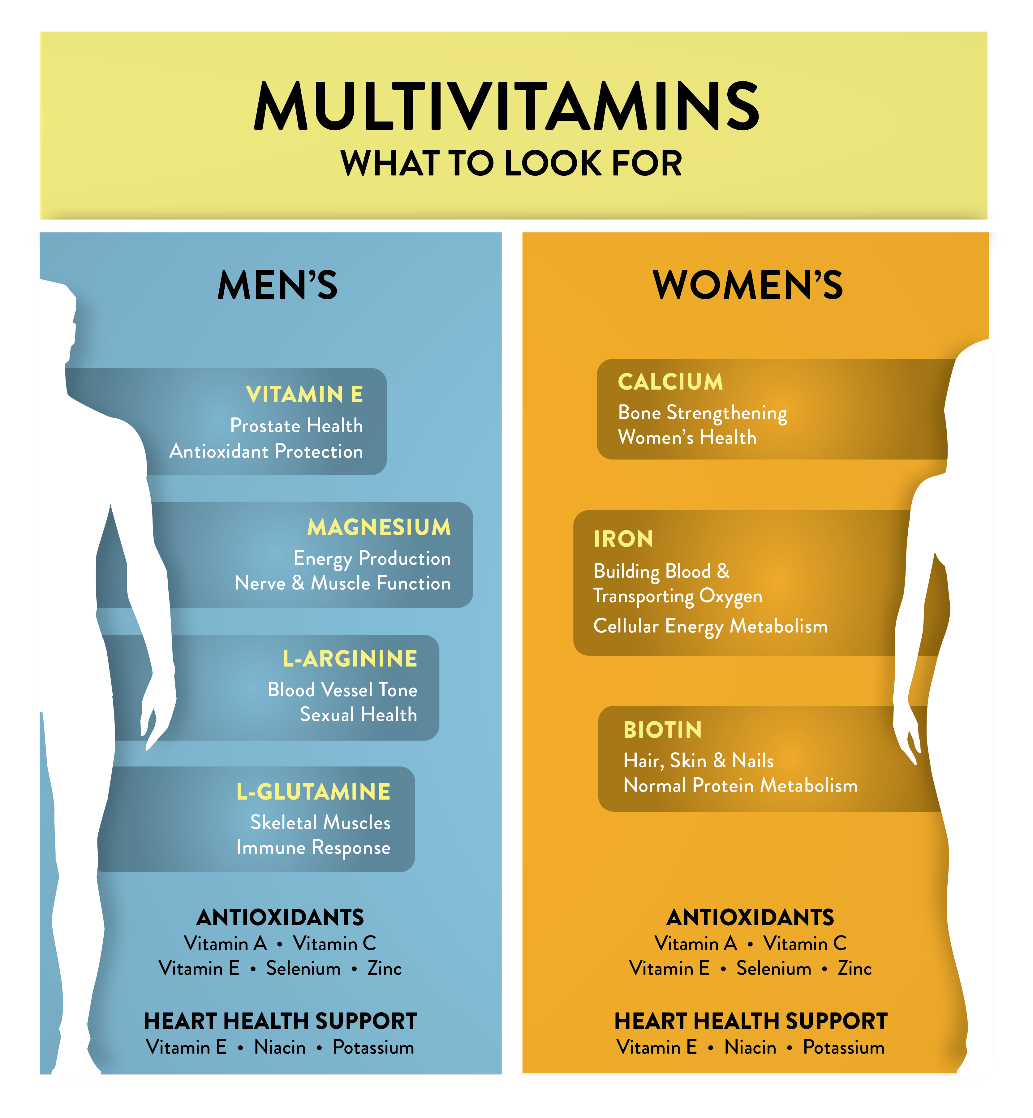 Men s Vs Women s Multivitamins Why It Matters GNC GNC
