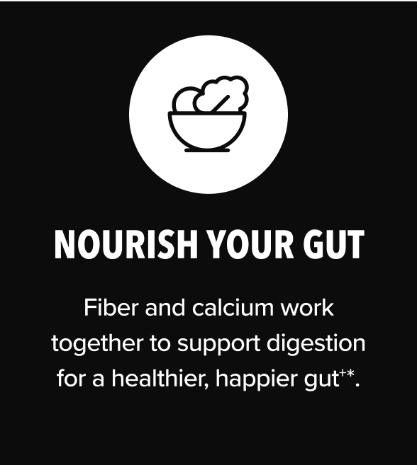 Nourish Your Gut