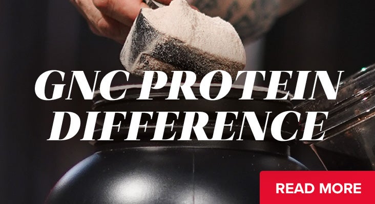 Best Protein Powders